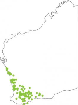 Distribution map for Turtle Frog