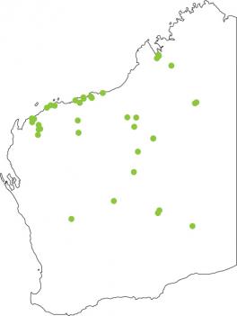 Distribution map for Northern Burrowing Frog