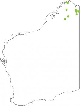 Distribution map for Northern Spadefoot