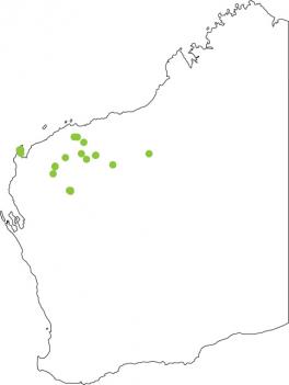 Distribution map for Gorge Toadlet