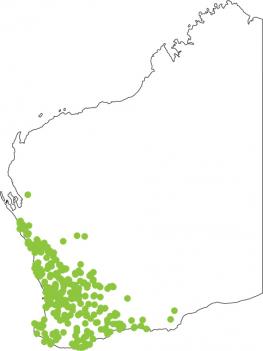 Distribution map for Crawling Toadlet