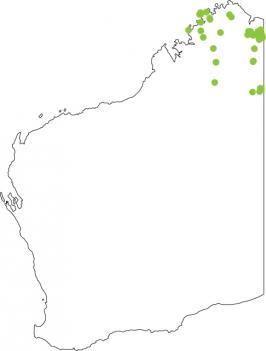 Distribution map for Northern Toadlet
