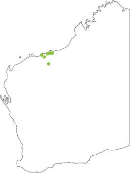 Distribution map for Glandular Toadlet