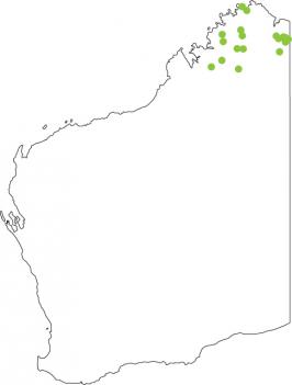 Distribution map for Stonemason Toadlet