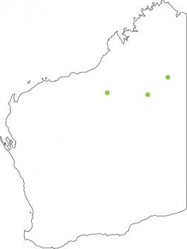 Distribution map for Tanami Toadlet