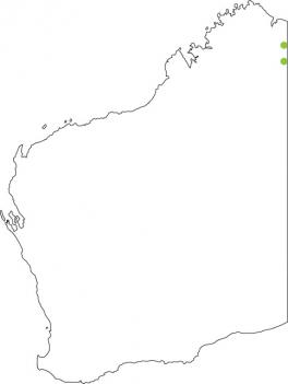 Distribution map for Chirping Froglet