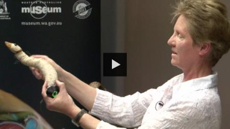 Kirsten Tullis demonstrating taxidermy techniques