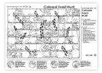 Colossal Fossil Hunt - fun game