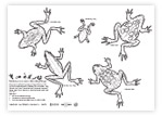 Make your own standing frog - activity sheet