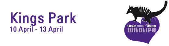 Kings Park