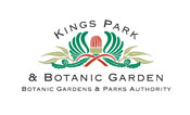 Kings Park