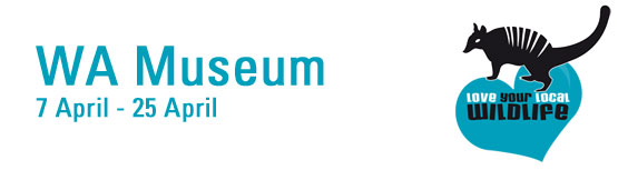 WA Museum